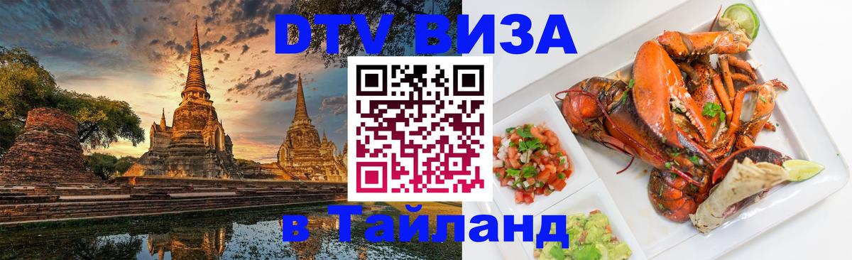 Оформление DTV визы под ключ: стоимость и тарифы, только загранпаспорт - 18.11.2025 